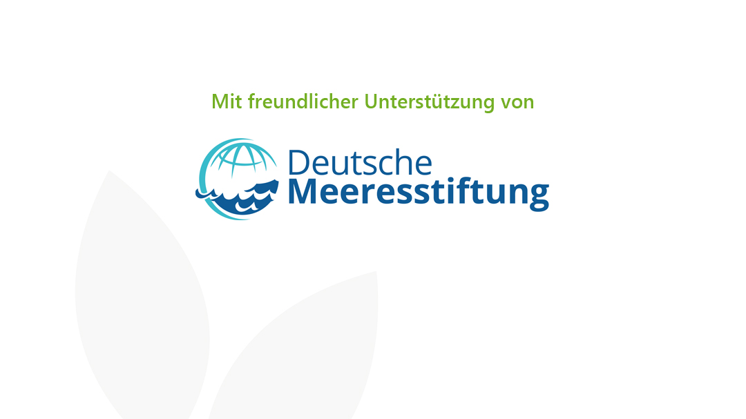 Logo Deutsche Meeresstiftung