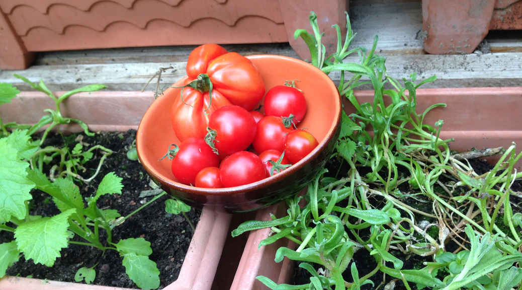 Tomaten und Kräuter