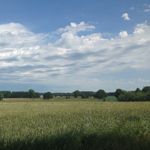 Hagenower Landpartie: Feldmark bei Hagenow